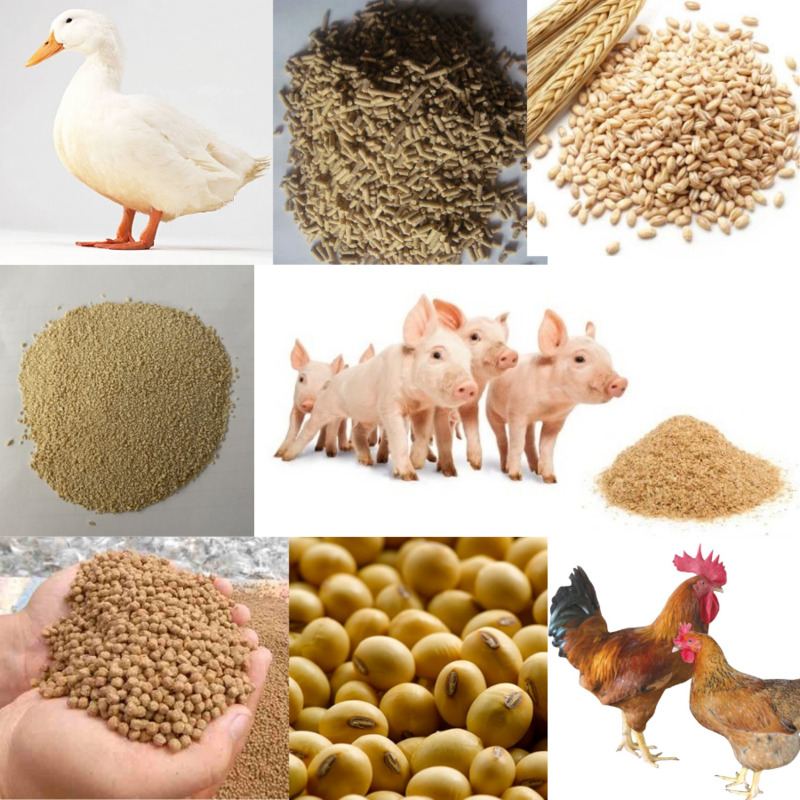  Na2HPO4 là chất nhũ hóa dùng để sản xuất thức ăn chăn nuôi